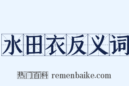 水田衣反义词是什么意思的图片
